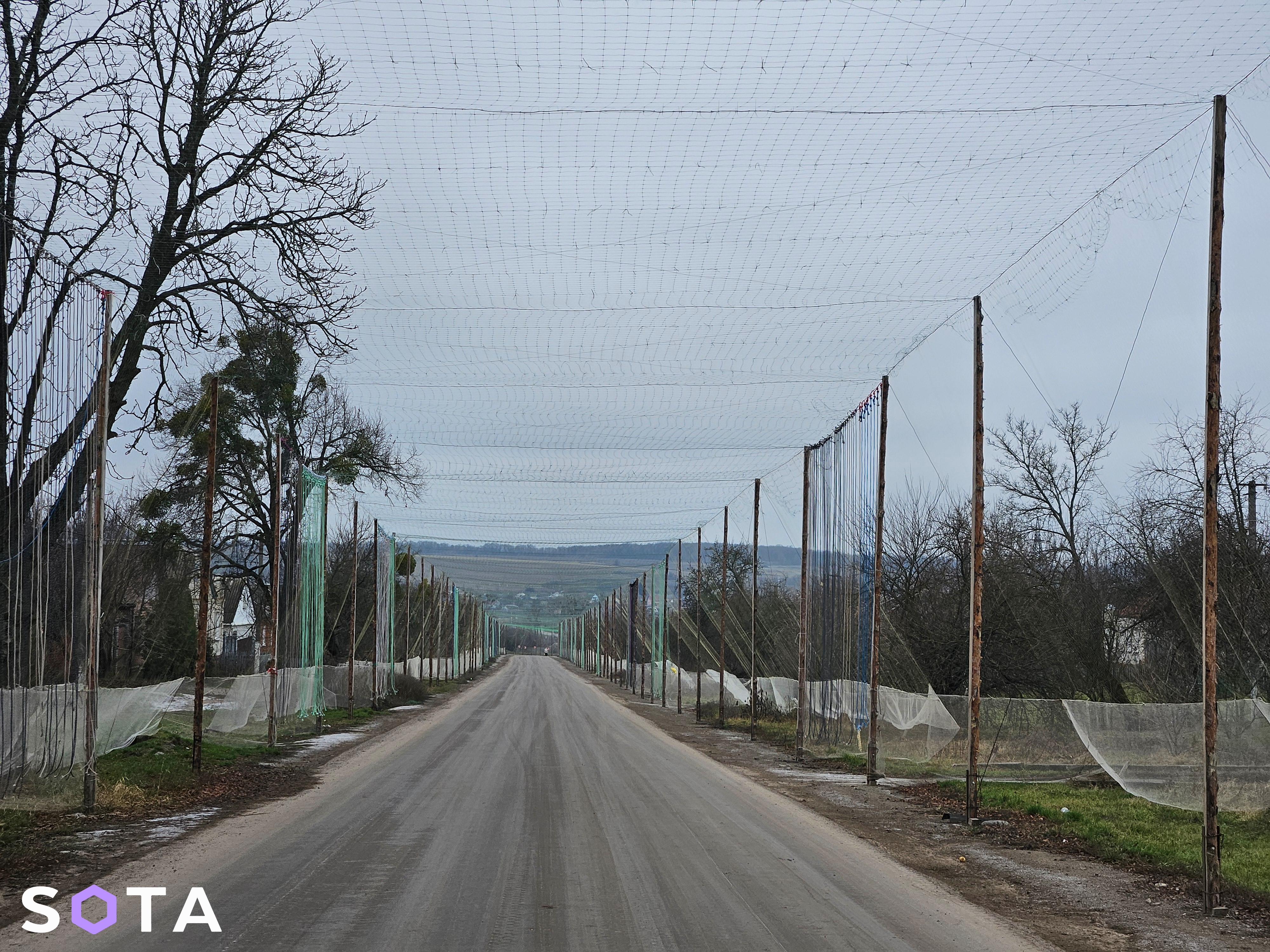 Фото: Алексей Обухов / SOTA