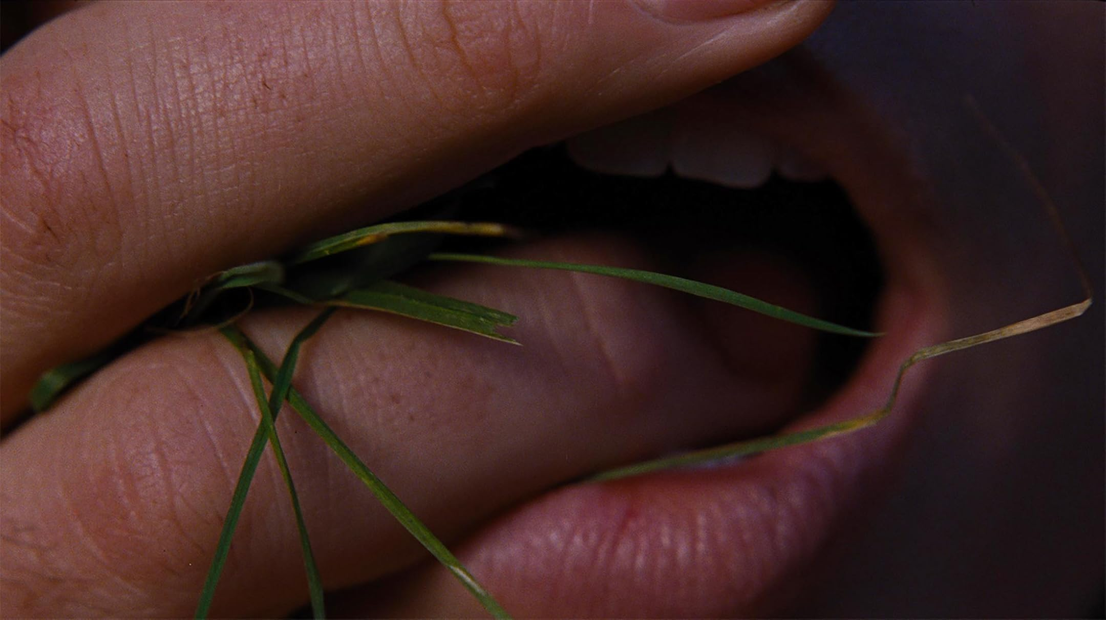 Кадр из фильма «Грозовой перевал»
IMDB.com